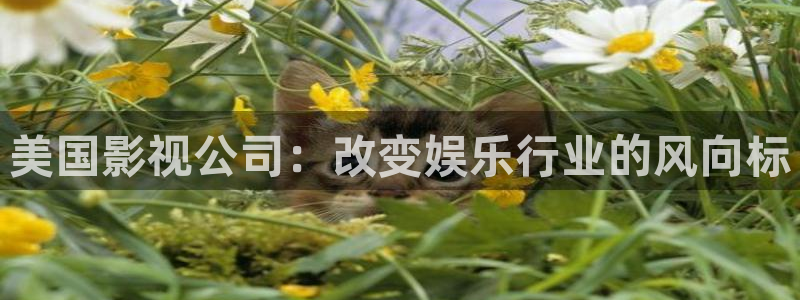 樱花影院免费在线观看