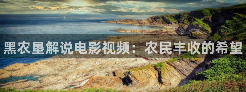 樱花影院破解
