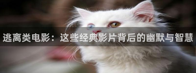 樱花影视剧大全