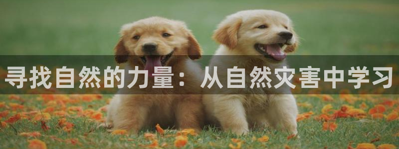 樱花视频在线免费