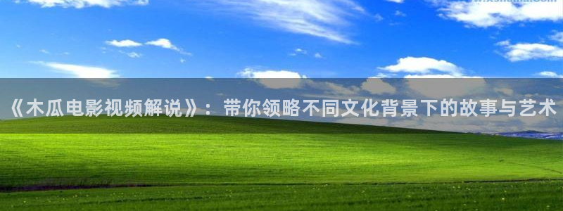 樱花视频免费观看高清：《木瓜电影视频解说》：带你领略不同文化背景下的故事与艺术
