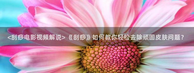 樱花影院电视剧免费观看全集：<刮痧电影视频解说> 《刮痧》如何教你轻松去除顽固皮肤问题？
