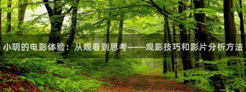 视频樱花视频：小明的电影体验：从观看到思考——观影技巧和影片分析方法