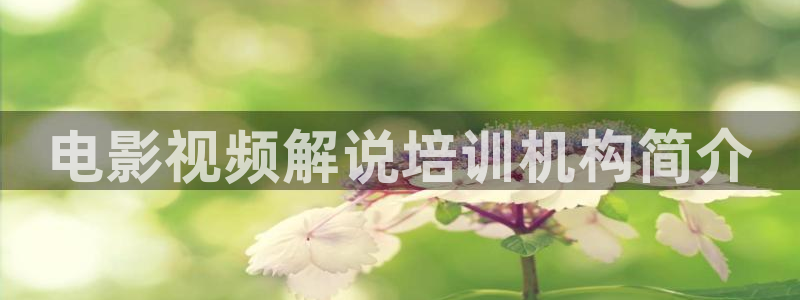 樱花影院免费观看：电影视频解说培训机构简介