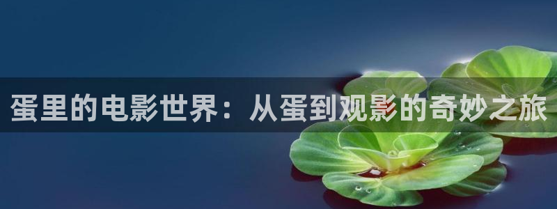 缘之空樱花影院：蛋里的电影世界：从蛋到观影的奇妙之旅