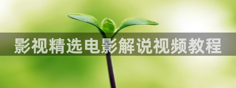 樱花视频网站网址：影视精选电影解说视频教程