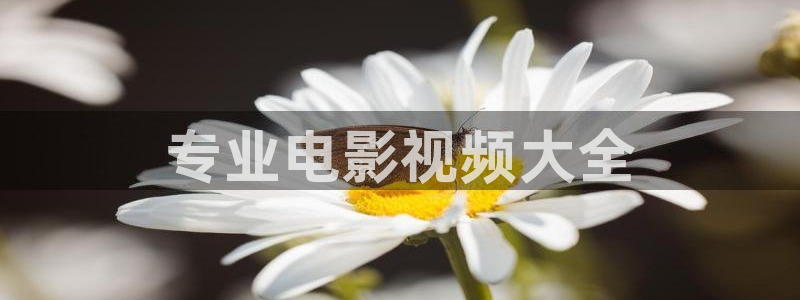 樱花视频素材下载：专业电影视频大全