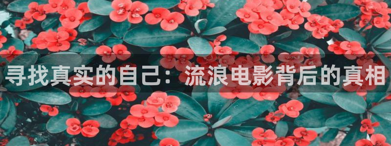 樱花视频下集完整版：寻找真实的自己：流浪电影背后的真相