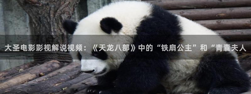 樱花视频精品：大圣电影影视解说视频：《天龙八部》中的“铁扇公主”和“青囊夫人