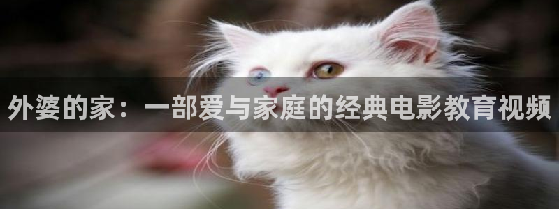 樱花视频背景：外婆的家：一部爱与家庭的经典电影教育视频