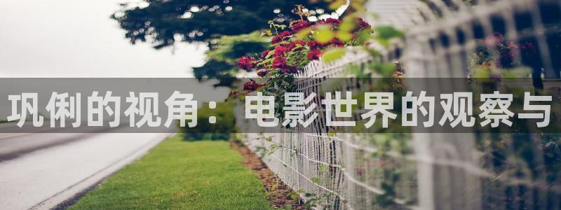 樱花视频78：巩俐的视角：电影世界的观察与