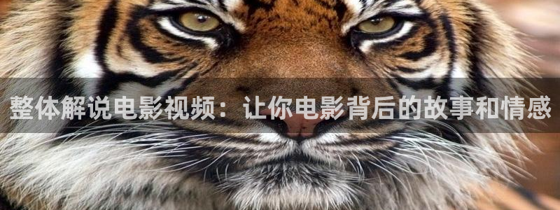 樱花视频网址：整体解说电影视频：让你电影背后的故事和情感