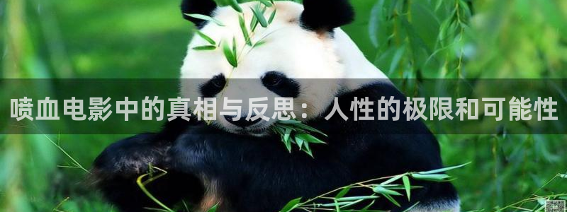 樱花视频免费观看：喷血电影中的真相与反思：人性的极限和可能性