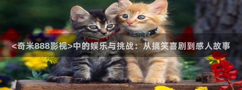 樱花影音：<奇米888影视>中的娱乐与挑战：从搞笑喜剧到感人故事