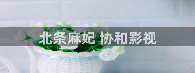 去有风的地方樱花影视：北条麻妃 协和影视