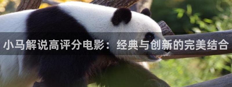 樱花影视电视剧